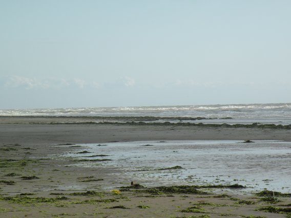  la mer